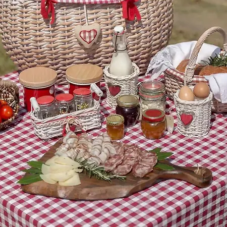 Charming Slovenia Holiday Home On A Vineyard * Marezige