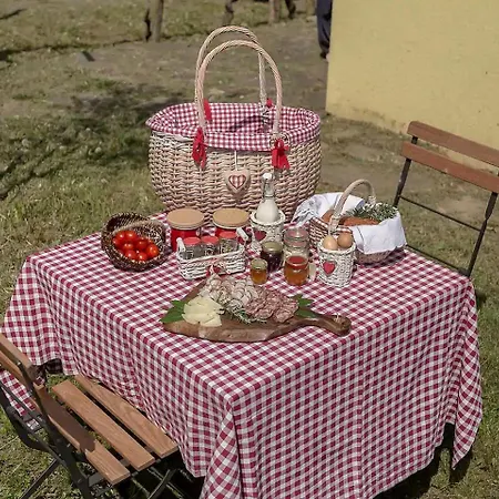 Charming Slovenia Holiday Home On A Vineyard Nyaraló